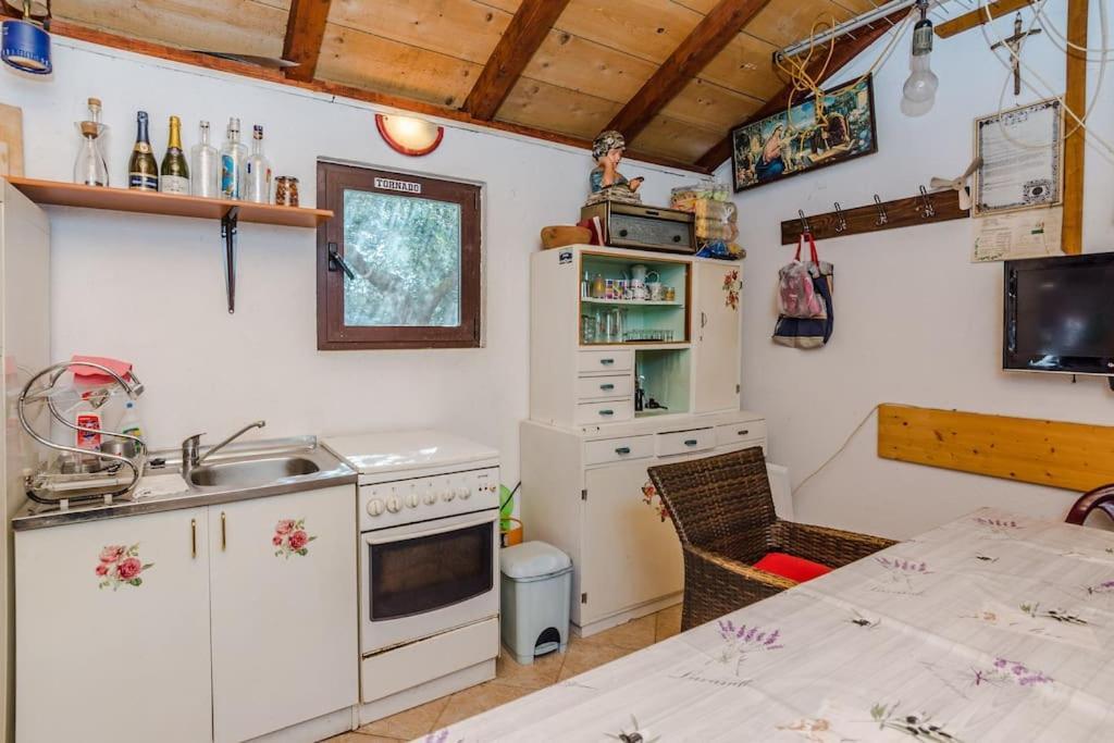 Apartment Roko - Up To 4 People With Free Parking Zadar Buitenkant foto